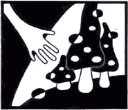 ...non si sa mai cosa ci aspetta lungo il cammino...