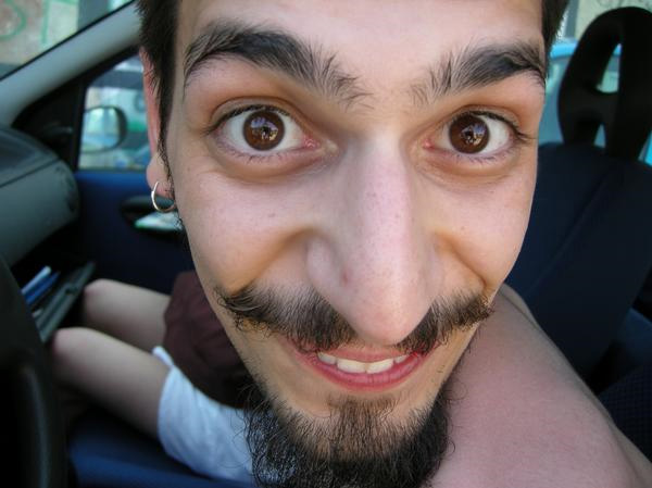 17.jpg