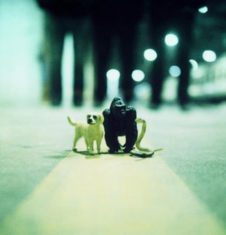 05.jpg